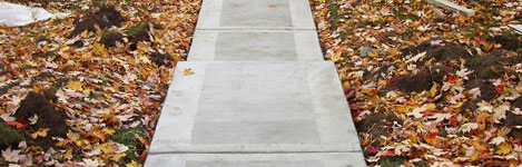 Chatham construction and concrete sidewalk project.